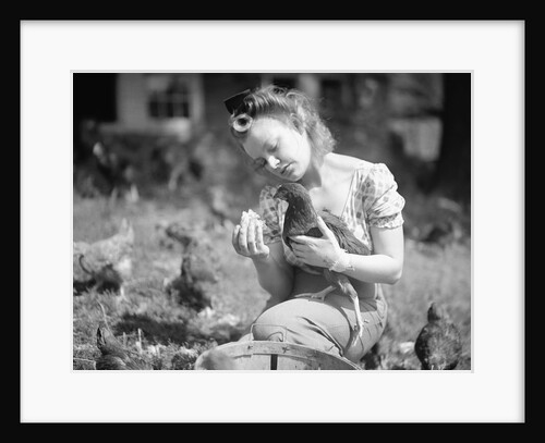 Woman Holds Chicken For Feeding by Anonymous