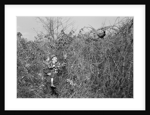 Man and Son Looking at Pheasant by Anonymous