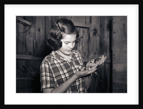 Girl Holding Pheasant Chicks by Anonymous