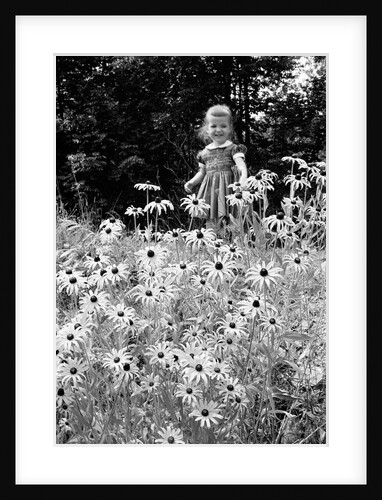 Girl in Daisy Field by Anonymous