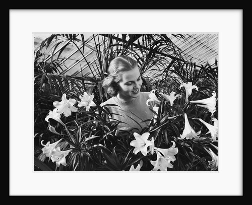 Woman Among White Lilies by Anonymous