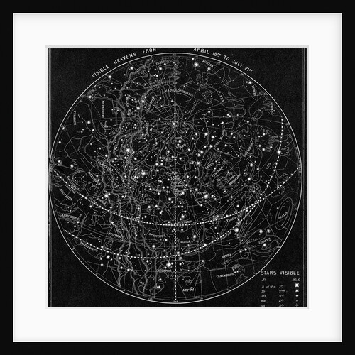 Illustration of the Constellations by Anonymous