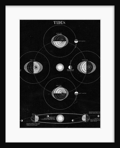 Illus/Tides Caused By Moon by Anonymous