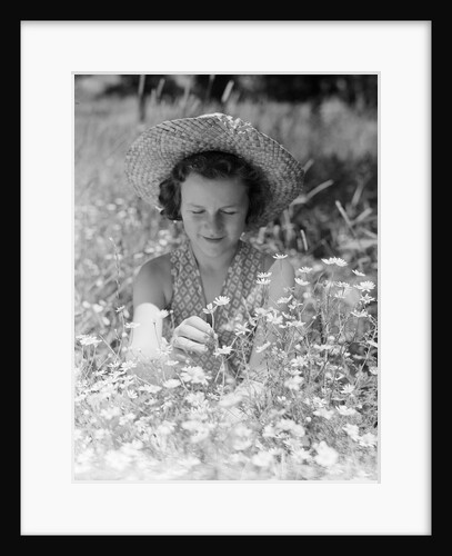 Girl in a Field of Daisies by Anonymous