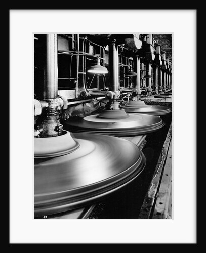 Glass Plate Plant by Anonymous