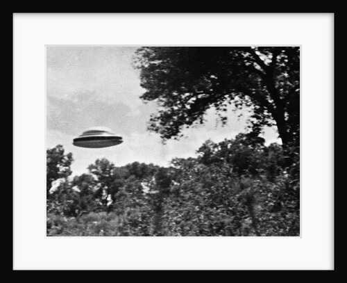 UFO Flying Low Over Trees by Anonymous