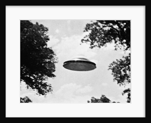 UFO Flying Low Over Trees by Anonymous