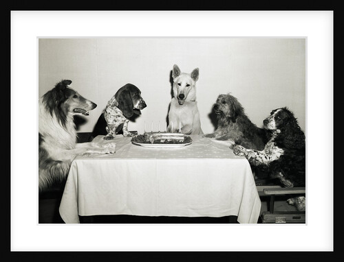 Movie Dog and Friends Celebrating Birthday by Anonymous