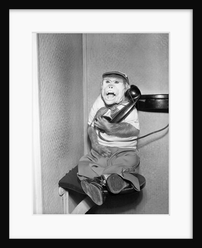 Monkey in Clothing Holds Phone Receiver by Anonymous