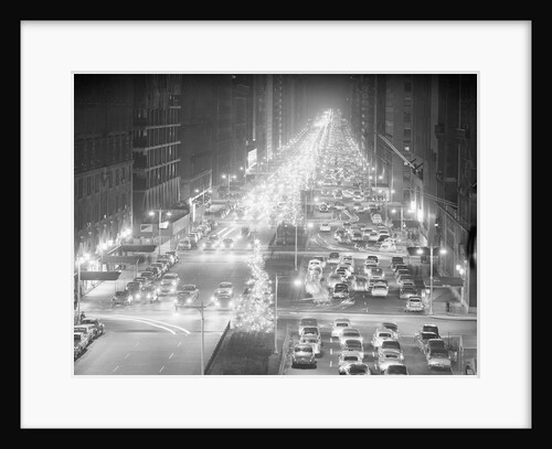 Park Avenue Lit Up with Christmas Trees by Anonymous