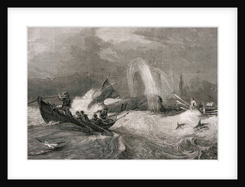 South Sea Whaling  - Engraving by Anonymous