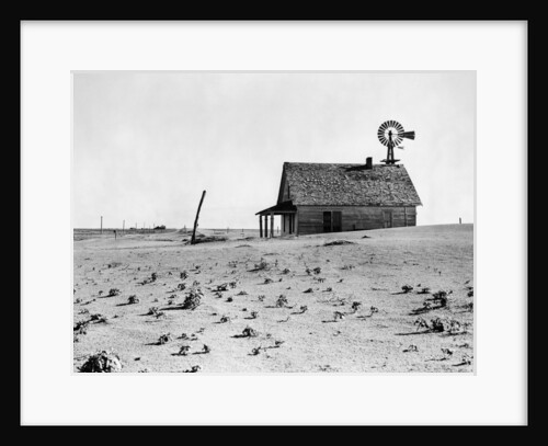Dust Bowl Farm in Texas by Anonymous
