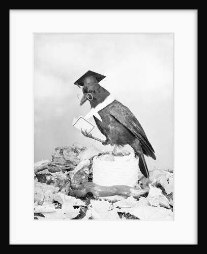 Bird with Glasses, Hat, and Folded Paper by Anonymous