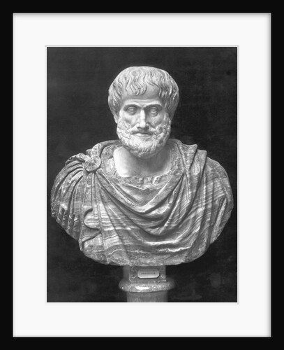 Bust Of Greek Philosopher Aristotle by Anonymous