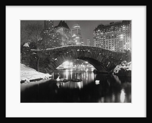 New York Pond in Winter by Anonymous