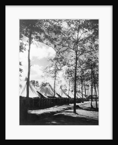 View Of Army Tents And Trees by Anonymous