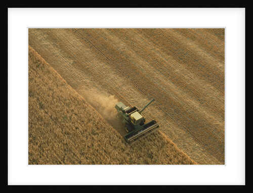 Thrasher Moves Through Wheat Field by Anonymous