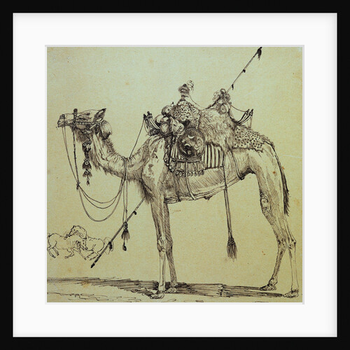 Camel by Rodolphe Bresdin