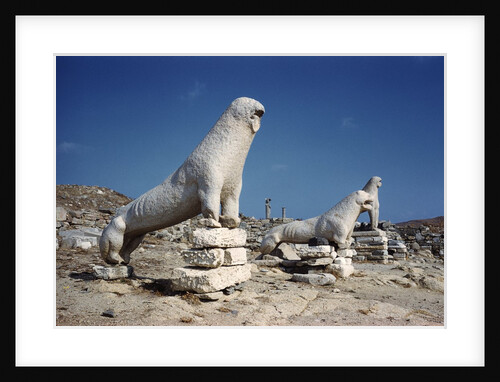 Terrace of the Lions at Delos by Anonymous