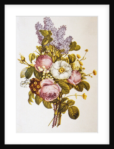 Illustration Depicting a Bouquet of Roses and Lilacs by Anonymous