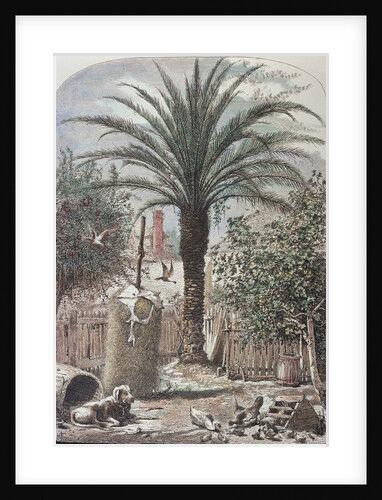 Illustration Depicting a Farmyard in St. Augustine, Florida by Anonymous