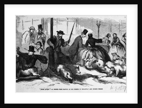 Print Depicting "Pork Lively" - A Sketch from Nature at the Corner of Broadway and Fourth Street by Anonymous
