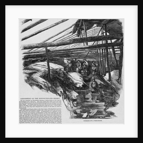 Newfoundland Fishing Industry by Anonymous