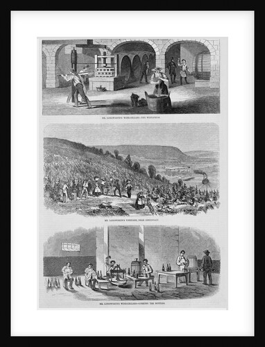 Views of American Wine Making by Anonymous