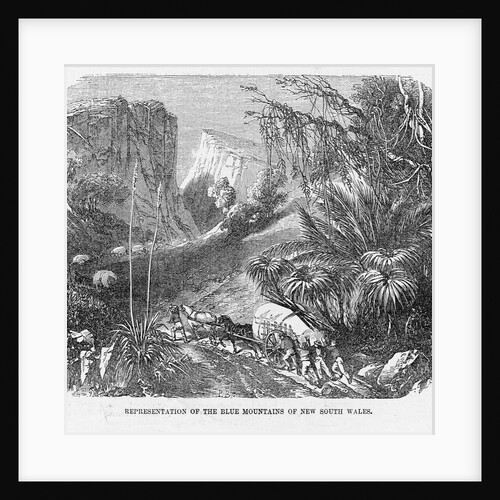 Wagon Train in Blue Mountains by Anonymous