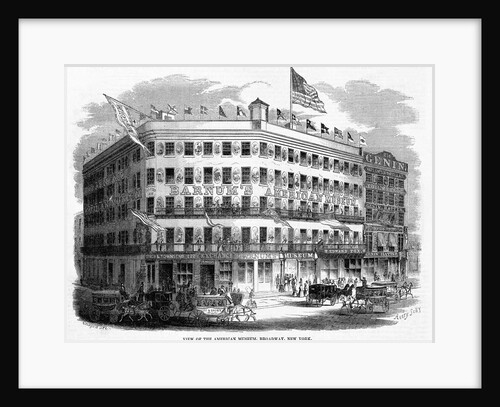 View of the American Museum, Broadway, New York by Anonymous