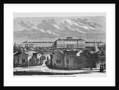 Vienna Psychiatric Hospital by Anonymous