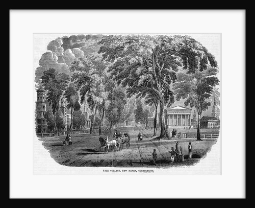 Yale College by Anonymous