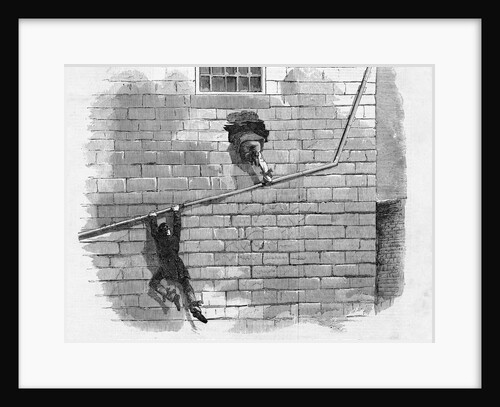Attempted Escape of Cook and Coppic by Anonymous