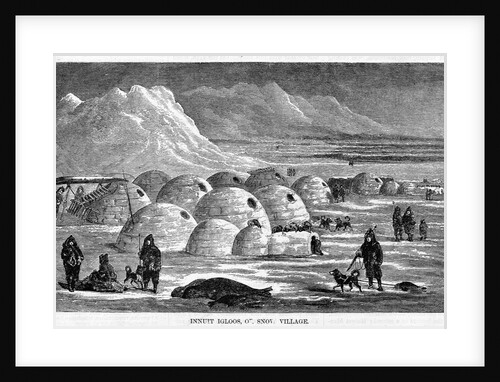 Innuit Igloos, or Snow Village Illustration by Anonymous