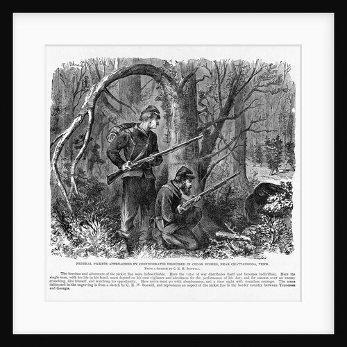 Camouflaged Confederates by Anonymous