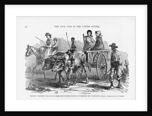 Virginia Farmer's Family by Anonymous
