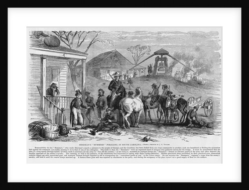 Union Troops Foraging by Anonymous