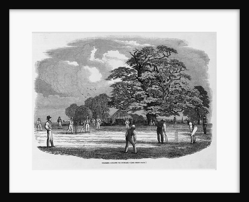 Cricket Game by Anonymous