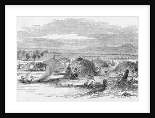 View of an Indian Rancheria, Yuba City, California Illustration by Anonymous