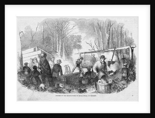 Making Maple Sugar by Anonymous