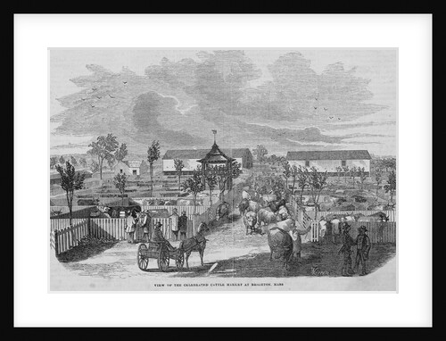 Cattle Market at Brighton by Anonymous