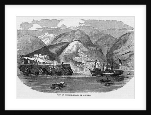 Harbor at Funchal, Madeira by Anonymous