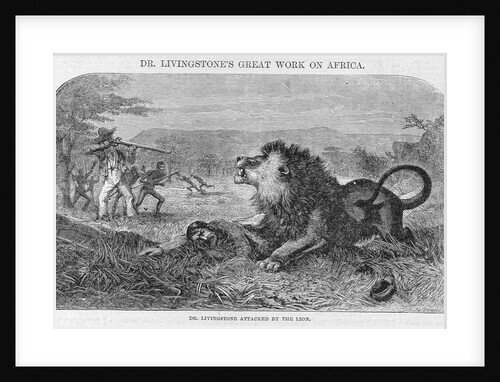Dr. Livingstone Attacked By the Lion by Anonymous
