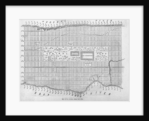 Map of the Central Park, New York by Anonymous