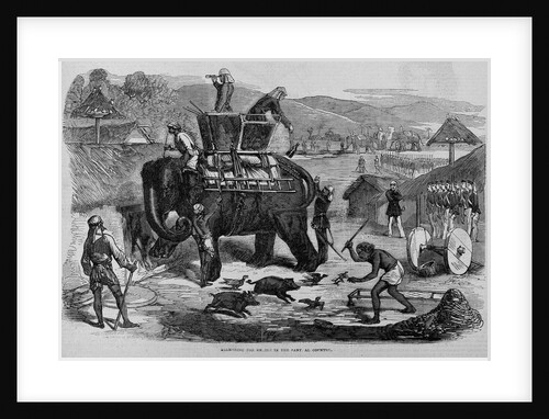 Searching for Rebels in the Santhal Country by Anonymous