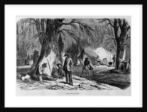 Maple Sugar Camp by Anonymous
