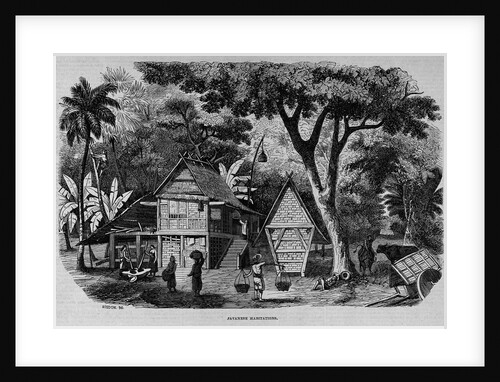 Javanese Habitations by Anonymous
