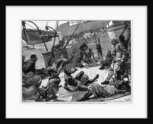 Taking in Live Stock for the Ashantee Expedition-Scene on Board Ship at Jellah Koffee by Anonymous