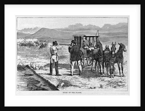 Sport on the Plains by Anonymous