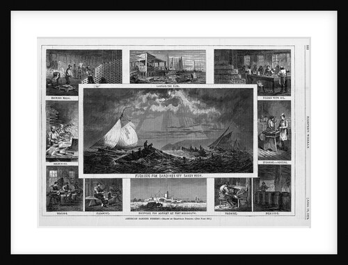 American Sardine Fishery by Anonymous